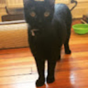 Meet your Posher, Keziah